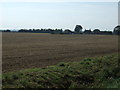 Field towards Field House Farm