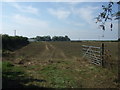 Farmland west of Alford Road