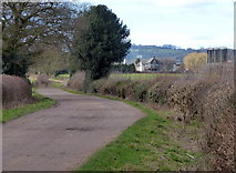 SK5414 : Rushey Lane near Rushey Fields Farm by Mat Fascione