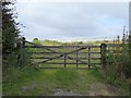 Footpath to Selham Wood