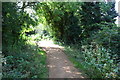 North end of footpath through Peasmoor Piece