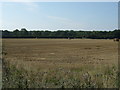 Stubble field near Wood Farm