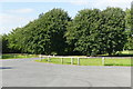 Car park and picnic area off the A161 at Epworth