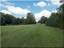 TQ2596 : London Loop Walk across King George's Fields, Barnet by Christine Matthews
