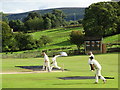 Cricket match at Addingham