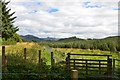 Open ground at Clashmore