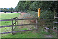 Ivanhoe Way and National Forest Way towards Old Parks Farm