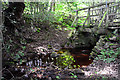 Ford at Beck Hole