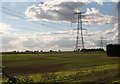 Pylons passing SW of Howell, towards Boughton Plantation