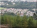 Housing estates between Donard Wood and Tipperary Wood