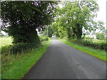 H4851 : Aghintain Road, Donaghmoyne by Kenneth  Allen