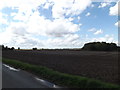 Fields looking towards Mendlesham Transmission Tower