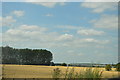 TL1746 : Farmland, Lower Caldecote by N Chadwick
