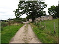 Footpath along track to Y-Wern