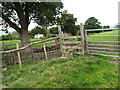 Stile on footpath passing Gelli