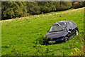 North Devon : Grassy Field & Car