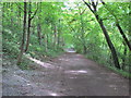 Ridgeway on Icknield Way, above Bledlow