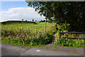 Footpath crossing Boot Lane