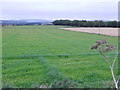 Field near the Drum Stone