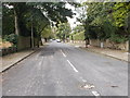 Rumbold Road - Sunny Bank Road