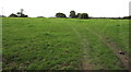 Public footpath towards Pondcast Farm, Havenstreet