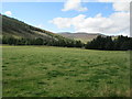 Grazing land in Glen Errochty