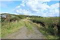 Farm Track at Grangestone