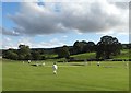 Addingham Cricket Ground