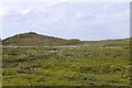 Bog, Strathy