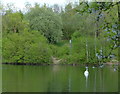 Fishing lake in Hamilton Park