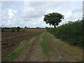 Farm track off Rattlesden Road