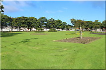 NX1897 : The Rose Garden, Victory Park Girvan by Billy McCrorie