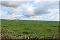 Farmland at East Carngillan