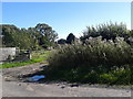 Gate, bushes and rooftops at Hembridge