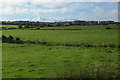 View from the Portrush train