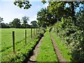 Netley Marsh, farm track