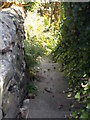 Footpath - Rochdale Road