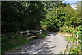 North Devon : Owlaborough Lane