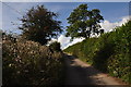 North Devon : Cross Side Hill