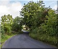 Hutton Roof