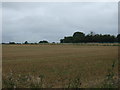 Stubble field off Green Lane