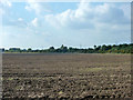 Ploughed field south of A505