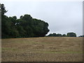 Stubble field and woodland