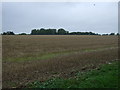 Stubble field off The Street (A140)