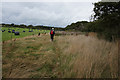 Coastal path towards South Thorness Farm