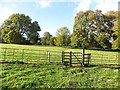 Gate, Brockhampton Park