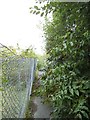 Overgrown footpath off Shannon Street, Leeds