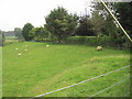 Llys Halt railway station (site), Gwynedd