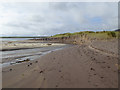 Q3700 : Stream on Ventry Strand by Oliver Dixon
