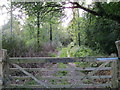 Yr hen rheilffordd - The old railway